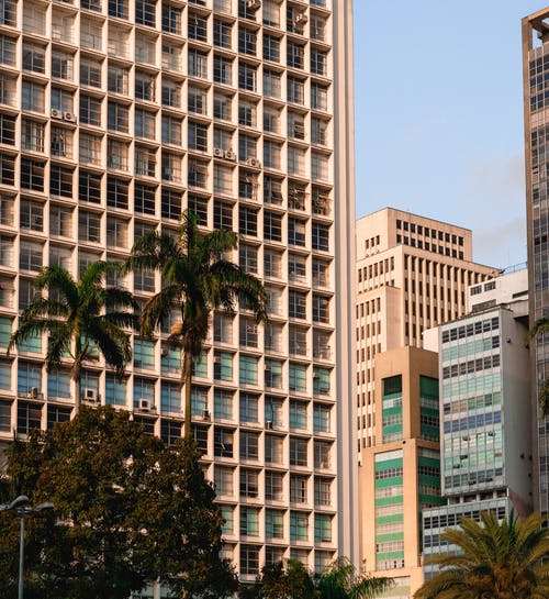 大楼旁边的两棵棕榈树 · 免费素材图片