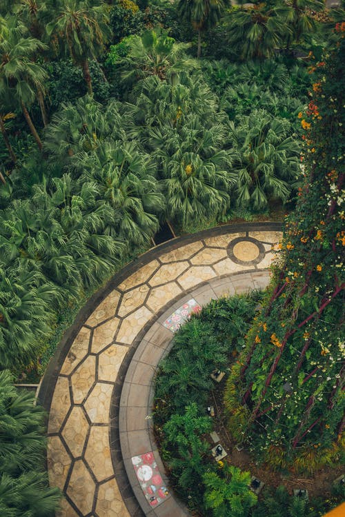 植物修剪的花园中的米色混凝土路 · 免费素材图片