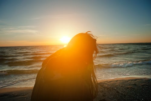 女人坐在海滩岸边的剪影 · 免费素材图片
