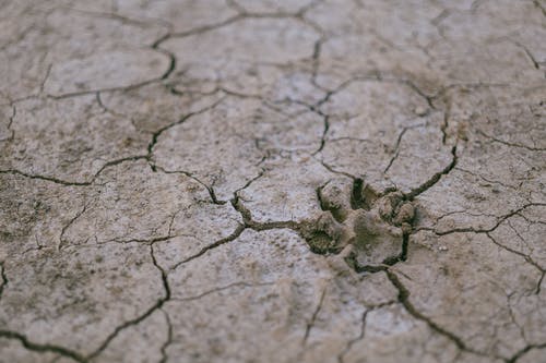 干旱土壤 · 免费素材图片