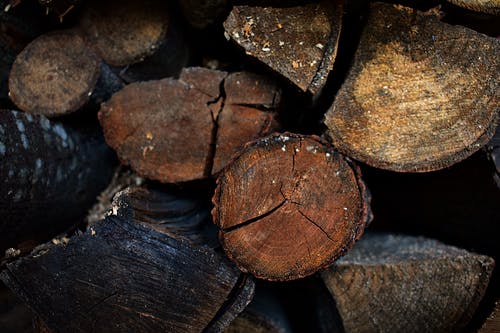 堆木原木 · 免费素材图片