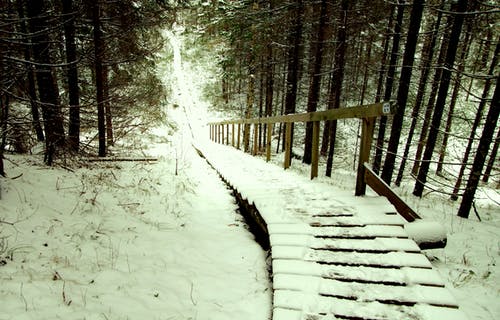 棕色木制楼梯被雪覆盖着 · 免费素材图片