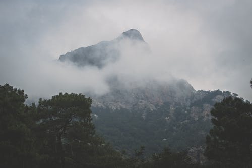 树木环绕的灰色和白色山脉 · 免费素材图片