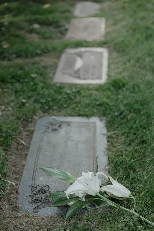 有关倾斜移位, 墓碑, 白色的花的免费素材图片