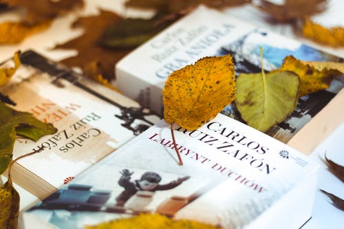 枯叶覆盖的各式各样的书 · 免费素材图片