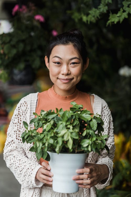 微笑的女人拿着盆栽植物 · 免费素材图片