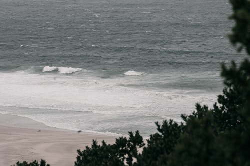 有关天性, 撞击波浪, 海滨的免费素材图片