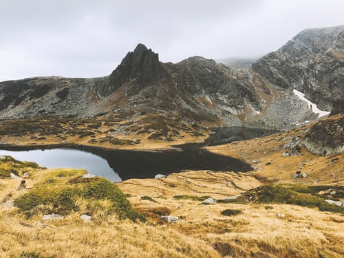 布朗山 · 免费素材图片