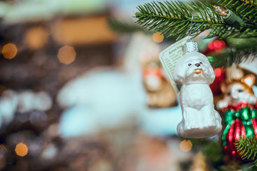 白狗摆设挂在圣诞树上 · 免费素材图片