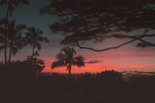 有关一缕阳光, 剪影, 夏威夷的免费素材图片