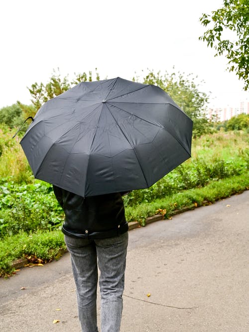 有关后视图, 阳伞, 雨伞的免费素材图片