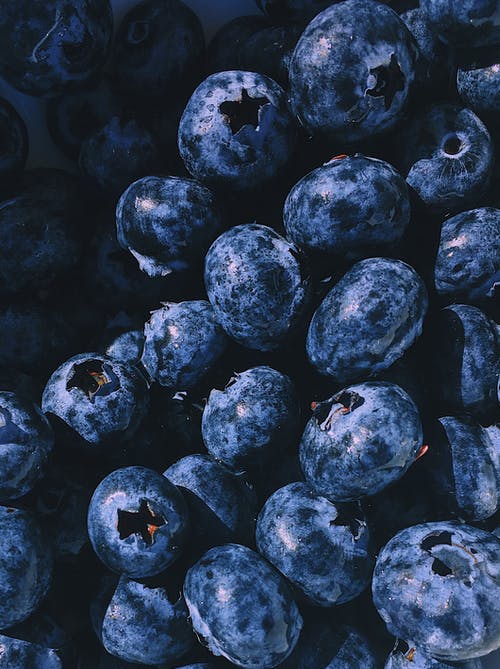 特写摄影蓝莓水果 · 免费素材图片
