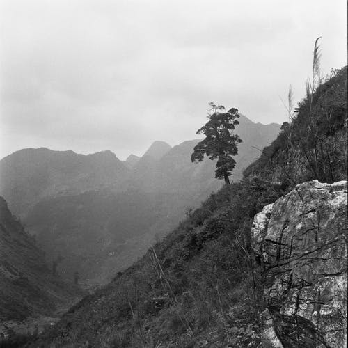 有关單色, 天性, 山坡的免费素材图片