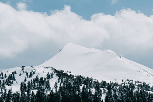 有关冬季, 大雪覆盖, 天性的免费素材图片