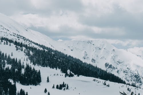 有关冬季, 大雪覆盖, 天性的免费素材图片