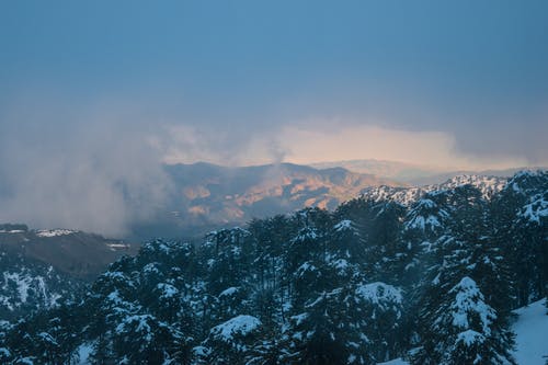 有关冬季, 大雪覆盖, 天性的免费素材图片