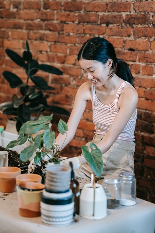 有关土, 坐, 女人的免费素材图片