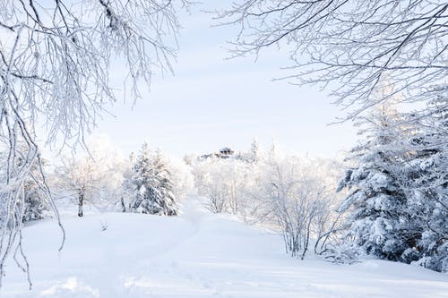 有关冬季, 冷, 大雪覆盖的免费素材图片