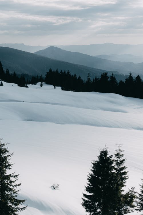 有关冬季, 垂直拍摄, 大雪覆盖的免费素材图片