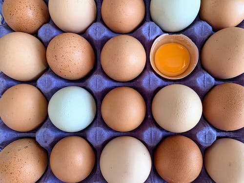 有关有養分的, 棕色的鸡蛋, 蛋托盘的免费素材图片