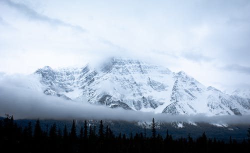 有关冬季, 大雪覆盖, 天性的免费素材图片