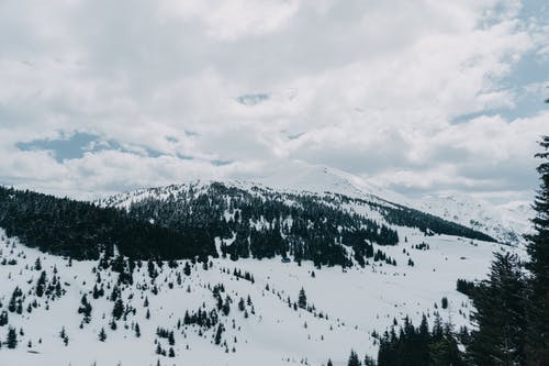 有关冬季, 大雪覆盖, 天性的免费素材图片