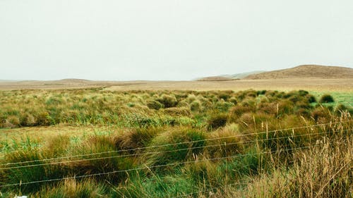 空草原的照片 · 免费素材图片