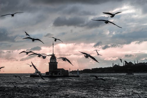 有关伊斯坦堡, 博斯普鲁斯海峡, 坻的免费素材图片