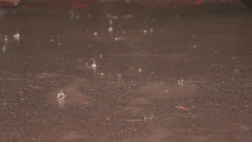 下雨天 · 免费素材视频