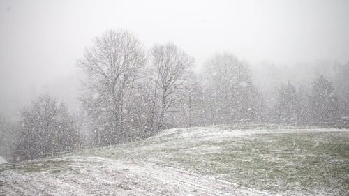 雪飘落 · 免费素材视频