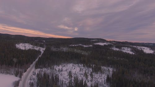 空中射击的白雪皑皑的丛林 · 免费素材视频