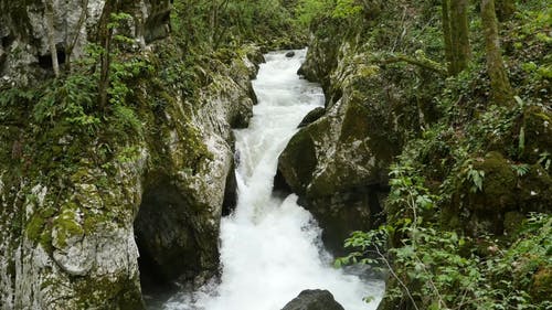 水流过岩石 · 免费素材视频