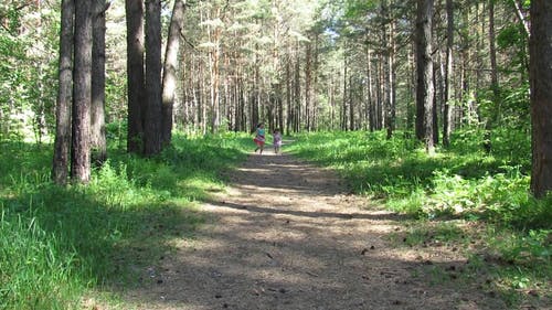 孩子们在公园跑步 · 免费素材视频