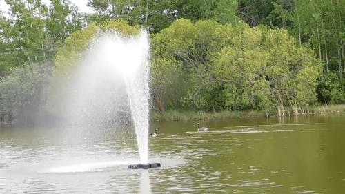 湖中的喷泉 · 免费素材视频
