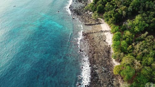 岩石海岸 · 免费素材视频