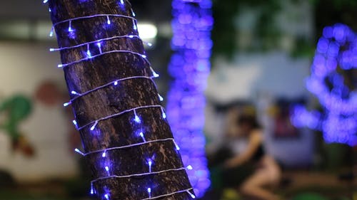 一串树干的圣诞灯 · 免费素材视频