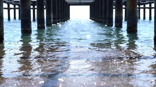 波浪视频 · 免费素材视频