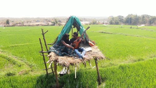 在稻田中间的小屋里的人 · 免费素材视频