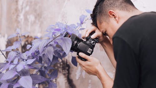 男人拍照的植物 · 免费素材视频