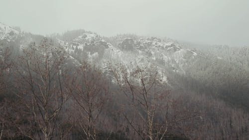 白雪覆盖的山脉 · 免费素材视频