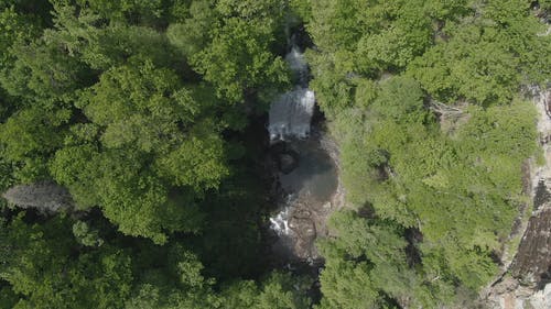 树木环绕的瀑布 · 免费素材视频