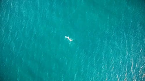 空中射击的人游泳 · 免费素材视频