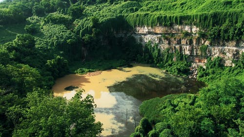 空水的池塘 · 免费素材视频