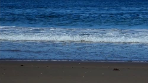 在海滩上的波浪 · 免费素材视频