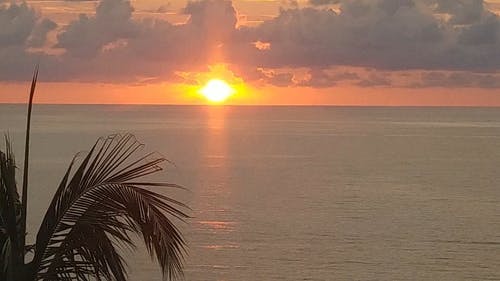 地平线上的美丽日落 · 免费素材视频