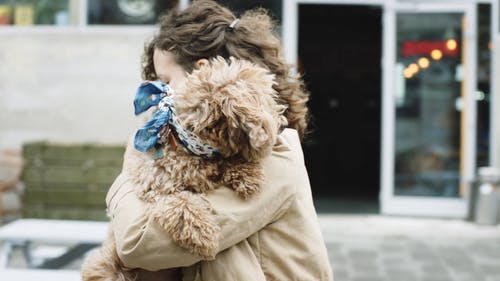 与她的狗在街上行走的女人 · 免费素材视频