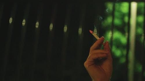 一支烟的烟点燃 · 免费素材视频