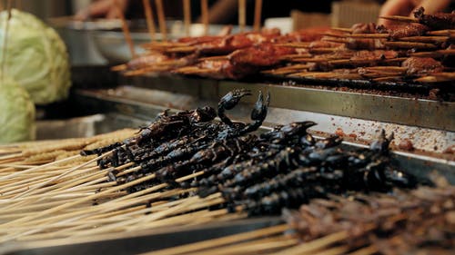 陈列在树枝上的昆虫层作为街头食品出售 · 免费素材视频