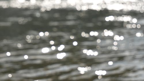 在焦河表面上的阳光反射 · 免费素材视频