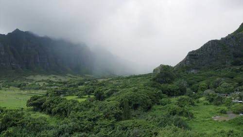 山谷上的浓雾 · 免费素材视频